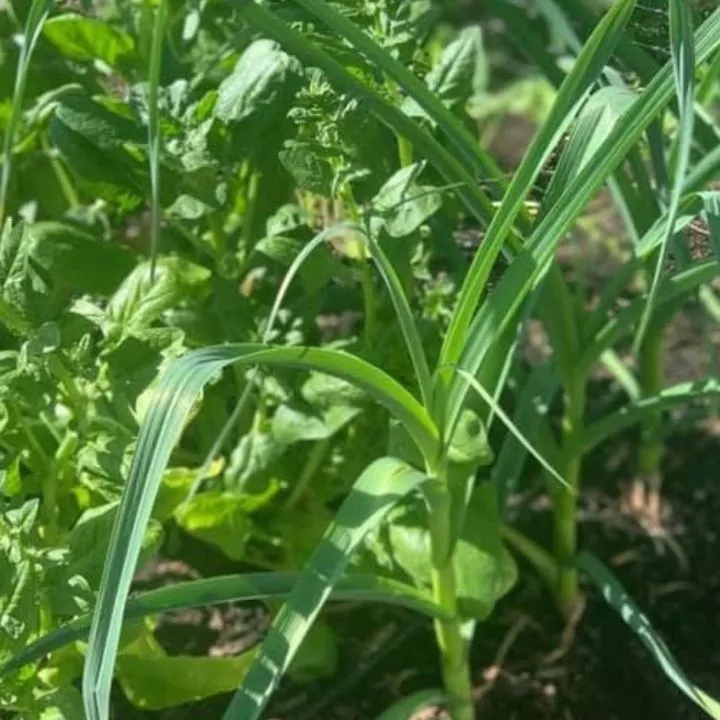 extra-curricular-photo-gallery8